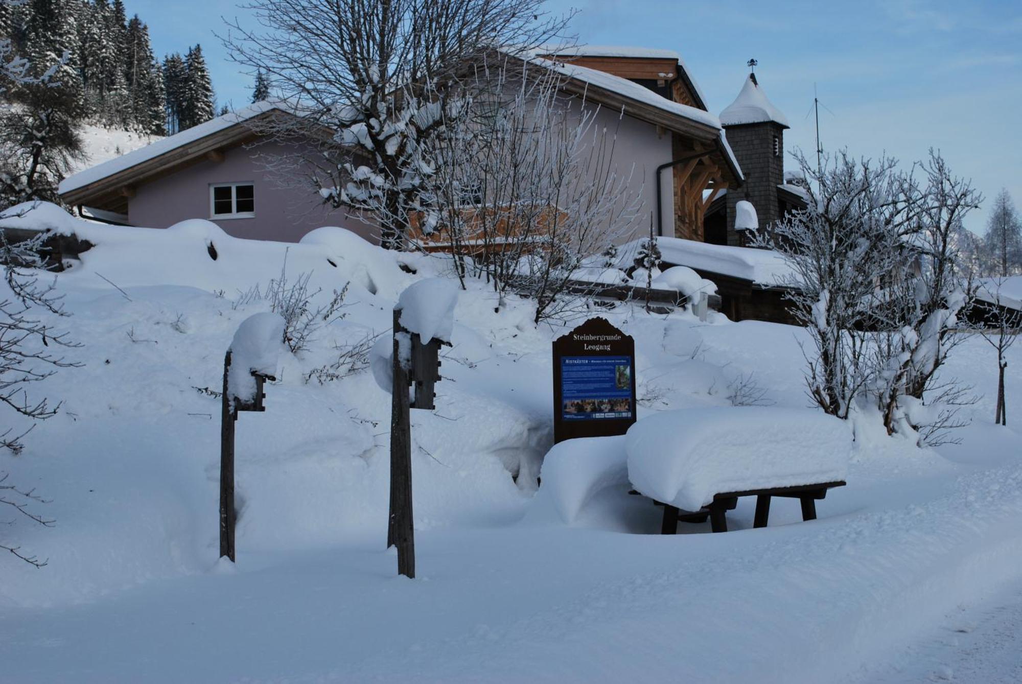 Appartement Haus Pichler Leogang Esterno foto